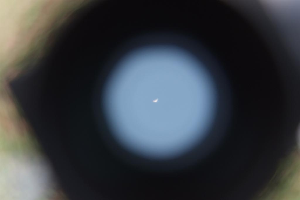 DSCF0111