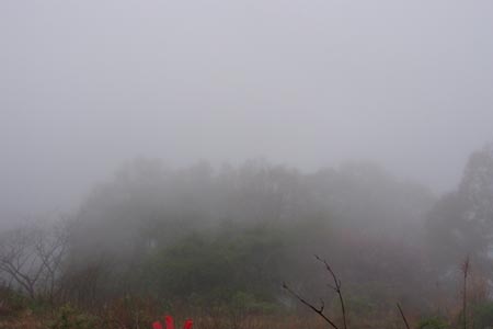 DSCF0793