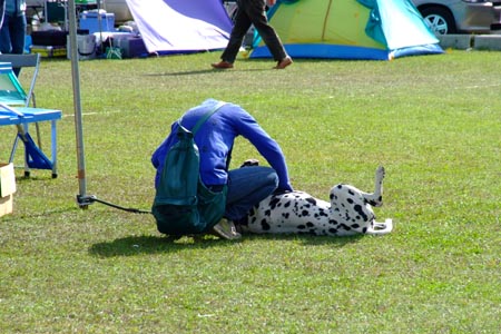 DSCF0198