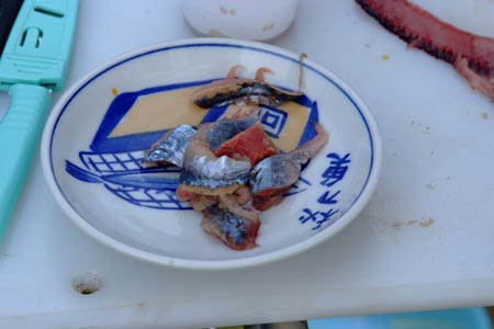 DSCF0199
