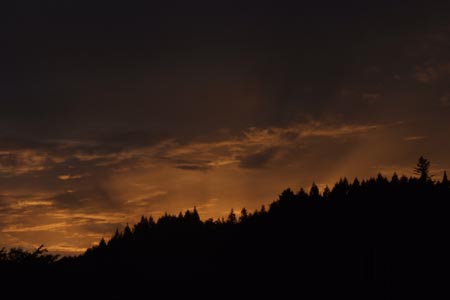DSCF0546