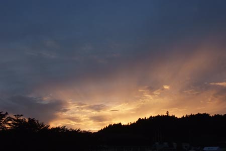 DSCF0559