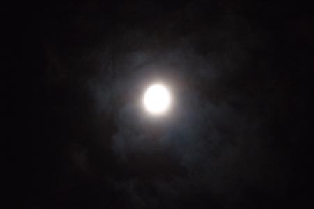 DSCF0686
