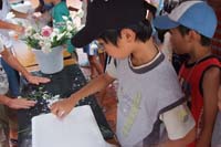 DSCF0619