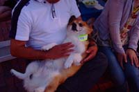 DSCF1247