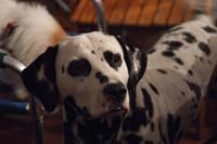 DSCF1359