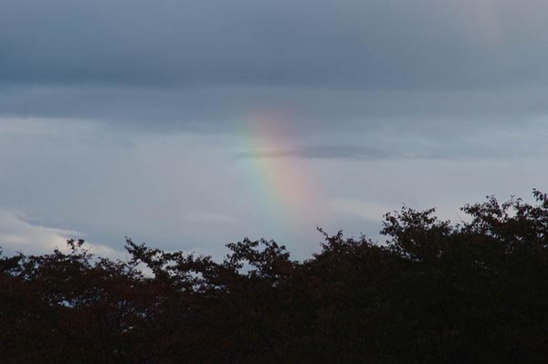 DSCF0106