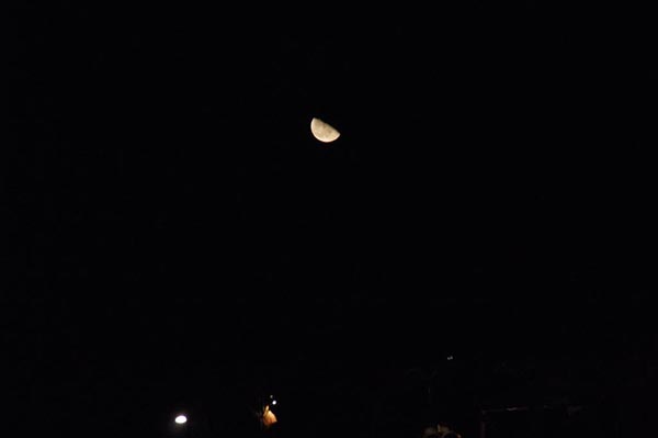 DSCF0241