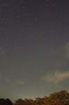 DSCF0224
