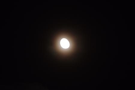 DSCF1570