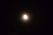 DSCF1570