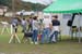 DSCF0103