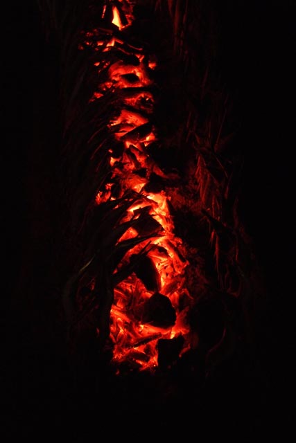 DSCF0402