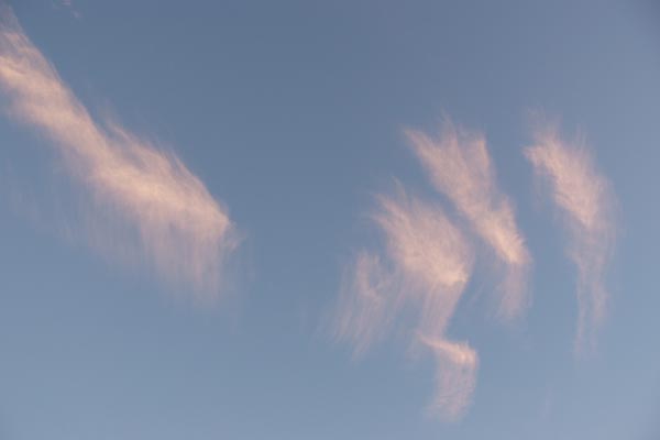 DSCF0774