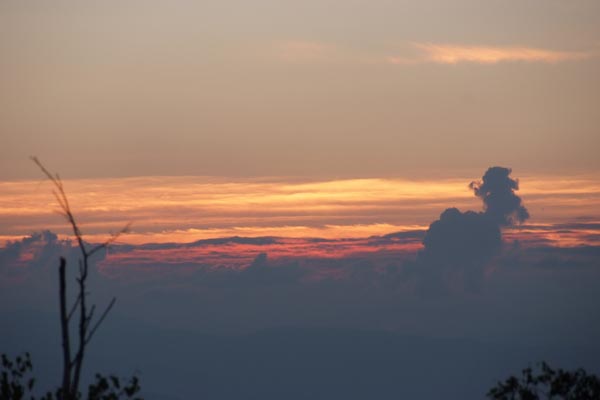 DSCF0779