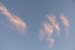 DSCF0774