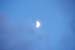 DSCF0752