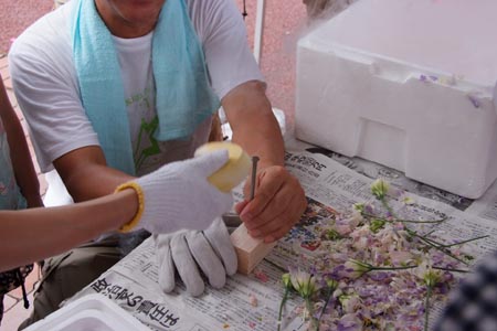 DSCF0549