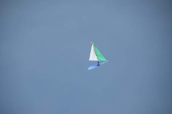 DSC_0365