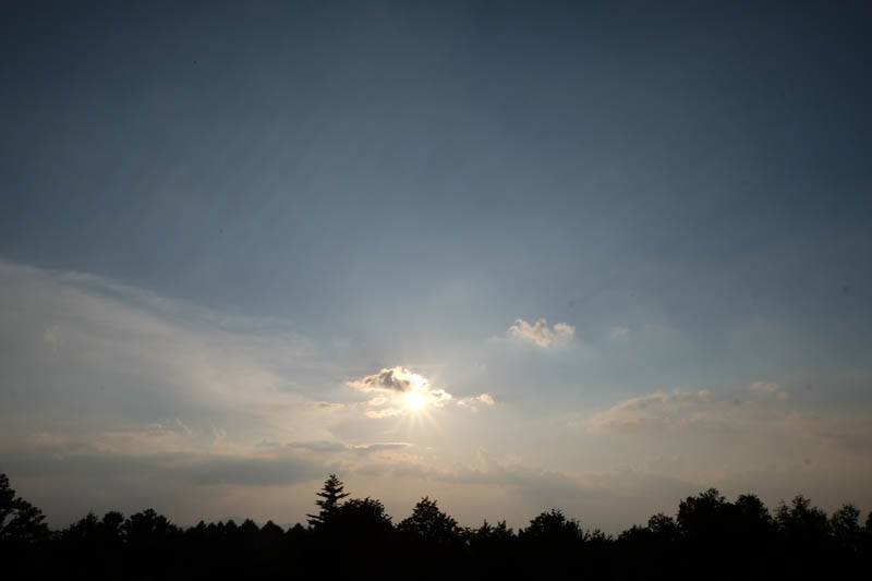 DSCF1153