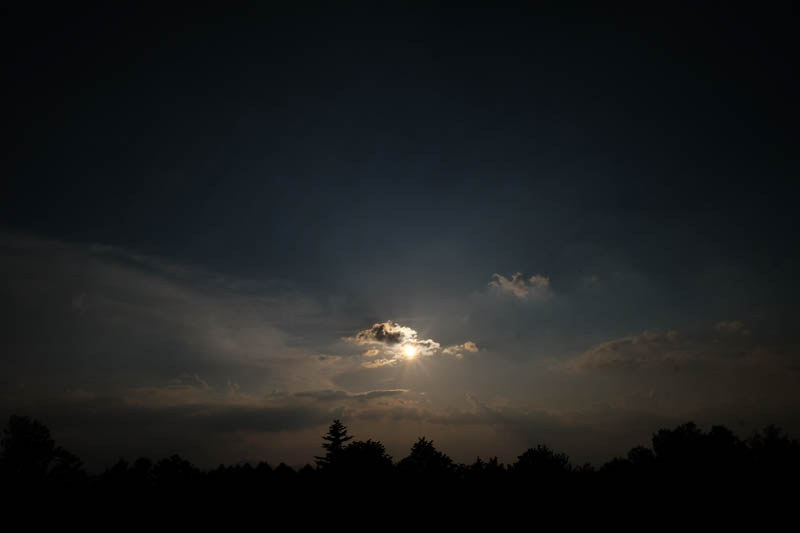 DSCF1154