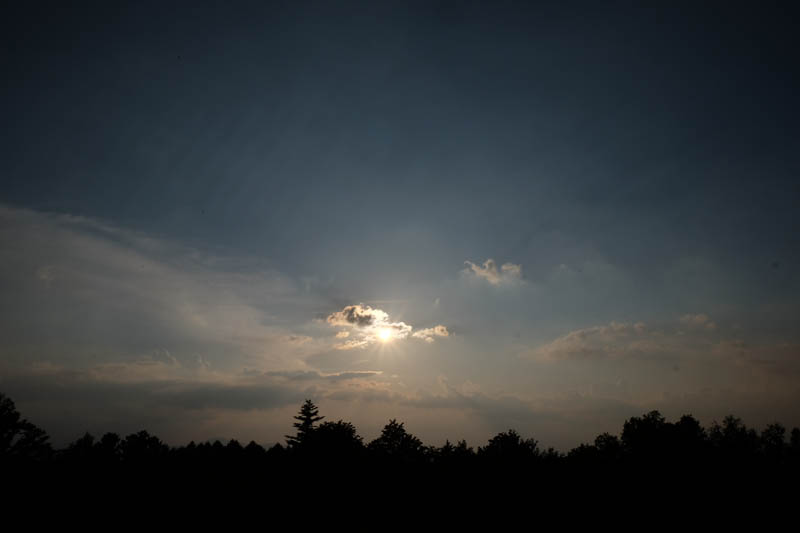 DSCF1155