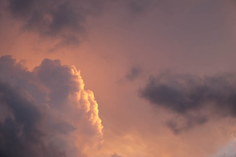 DSCF1253