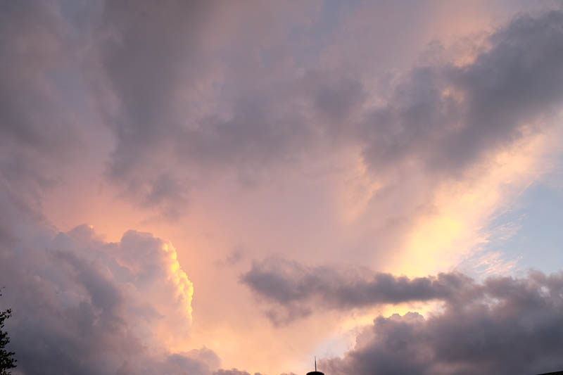 DSCF1254