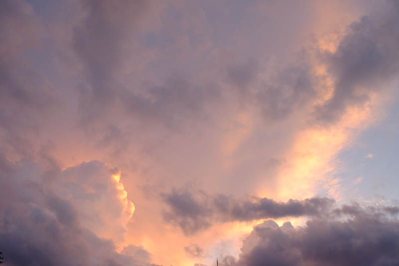 DSCF1256