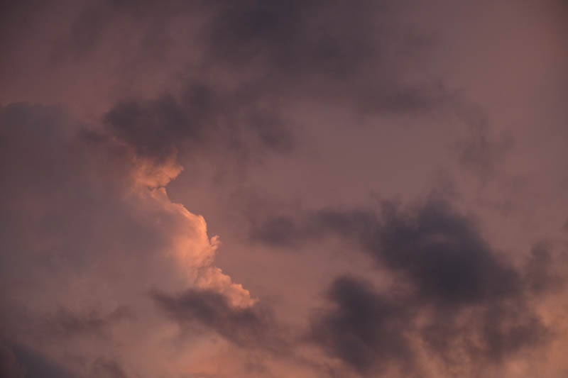 DSCF1258