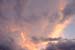 DSCF1256