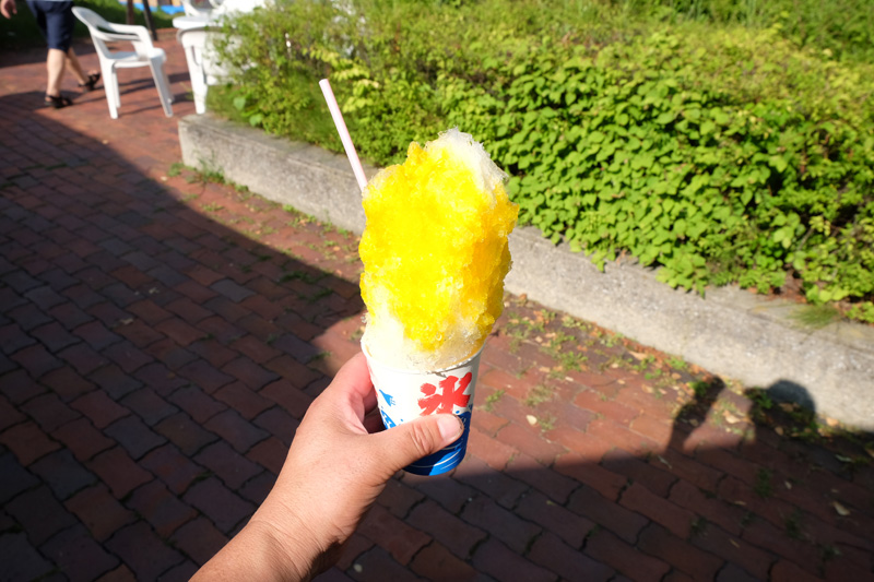 DSCF0031