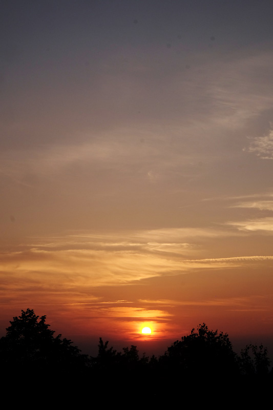 DSCF0277