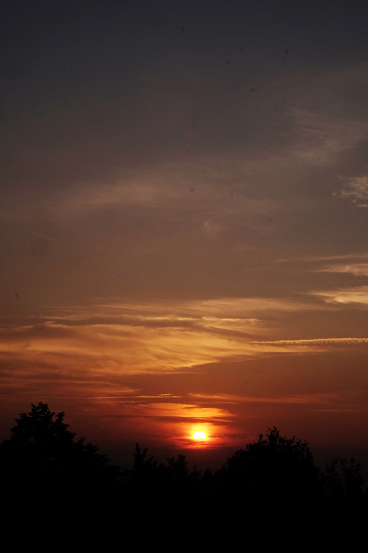 DSCF0278