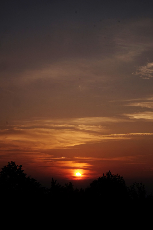 DSCF0279