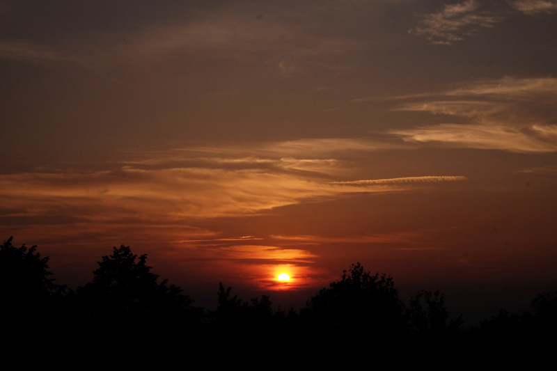 DSCF0281