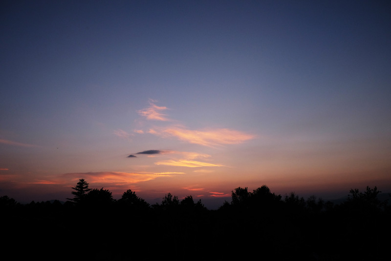 DSCF0302