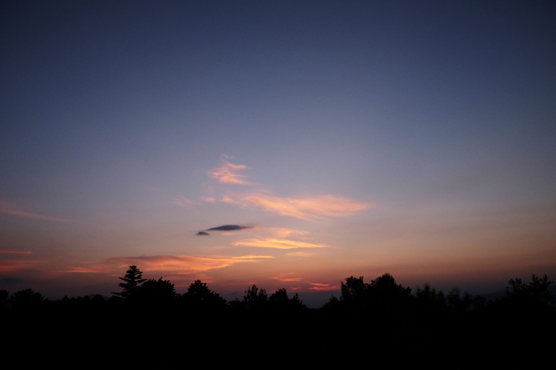 DSCF0304