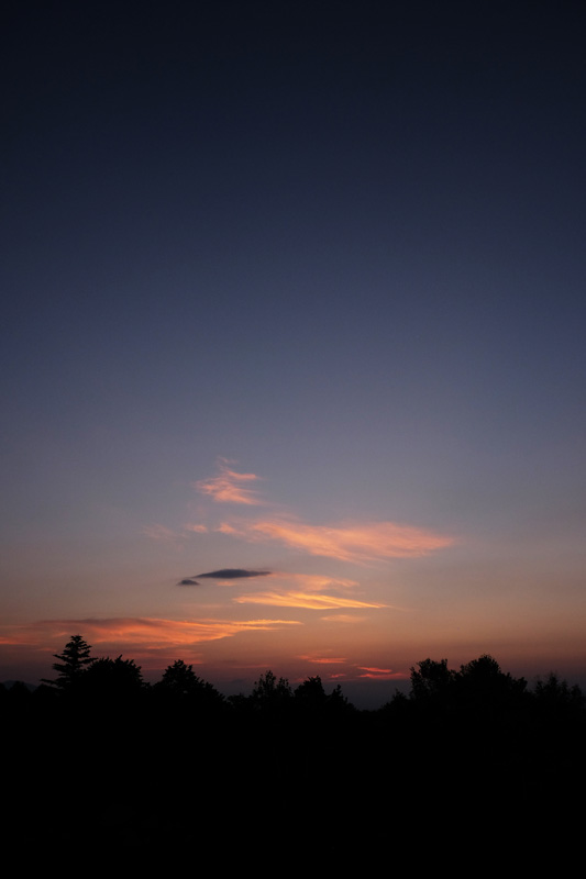 DSCF0306