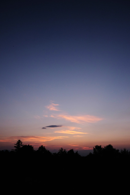 DSCF0307