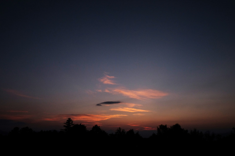 DSCF0308