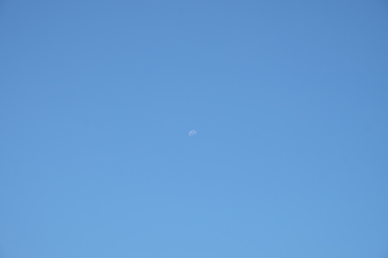 DSCF0447