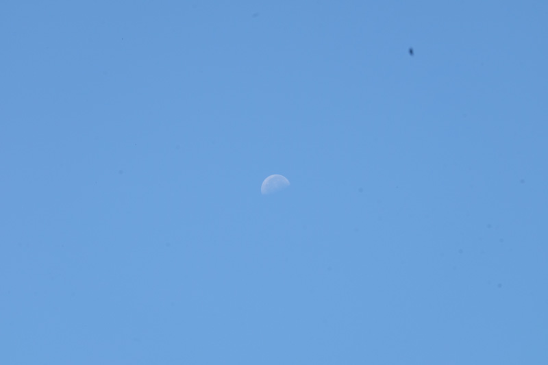 DSCF0448
