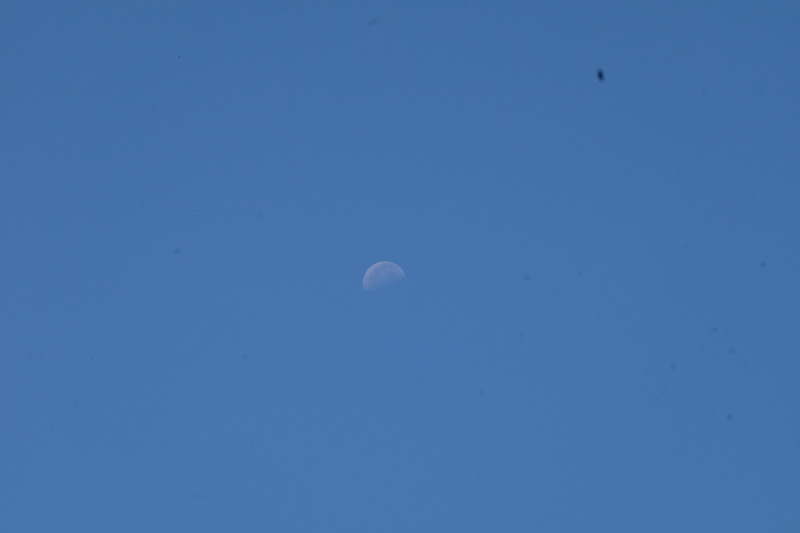 DSCF0449