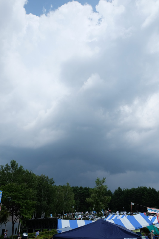 DSCF0798