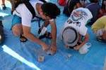 DSCF0591