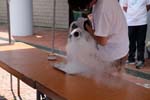 DSCF0740