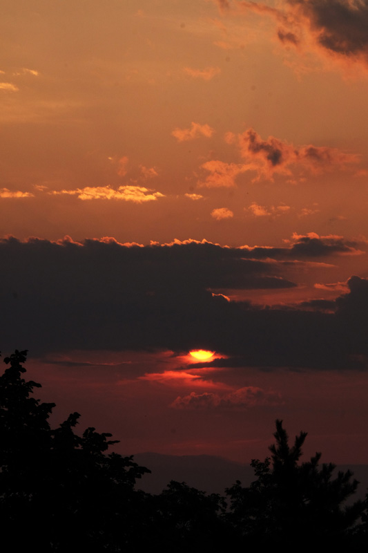 DSCF1146