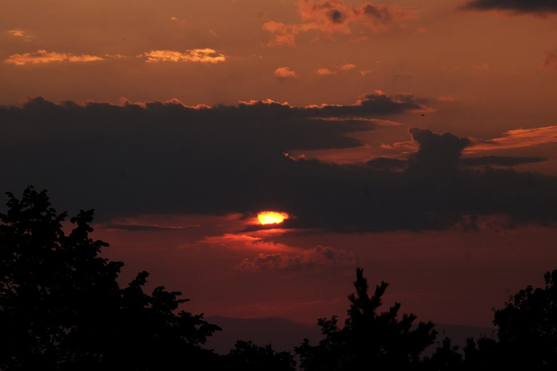 DSCF1148