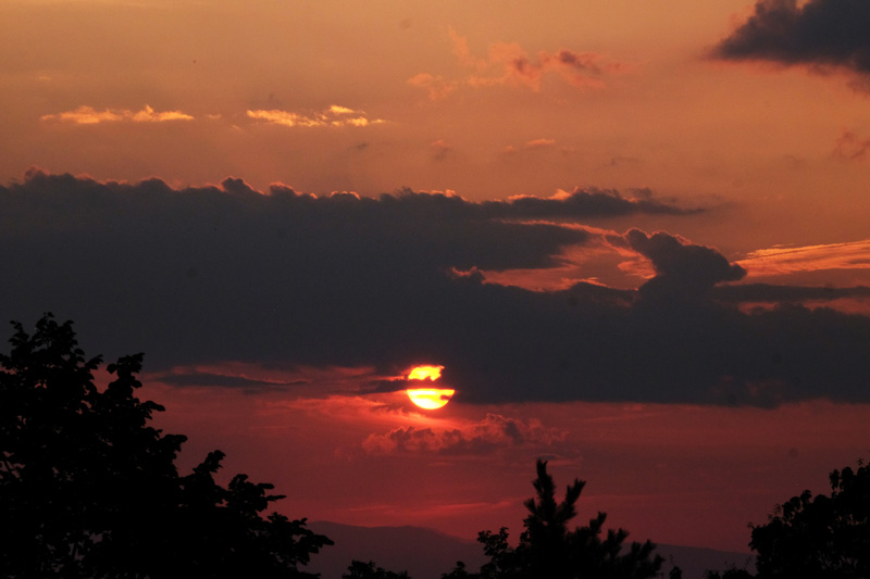 DSCF1156